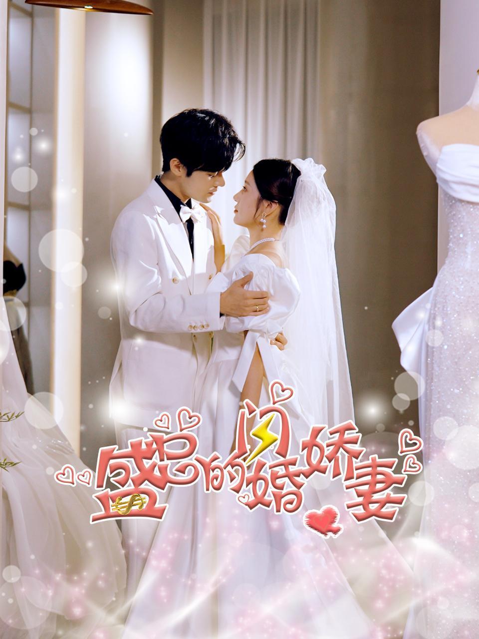 盛总的闪婚娇妻