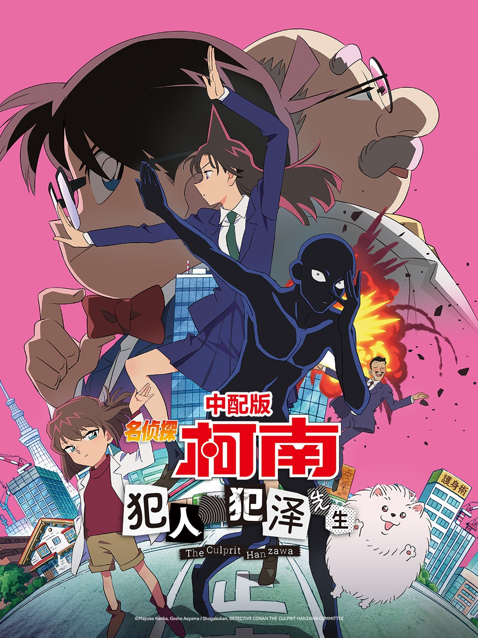 名侦探柯南：犯人犯泽先生 中配版