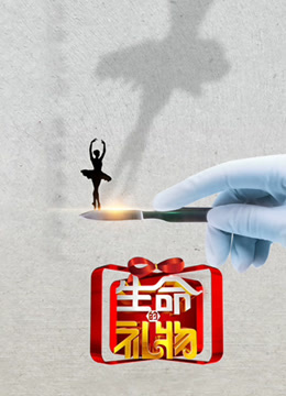 生命缘·生命的礼物 第三季
